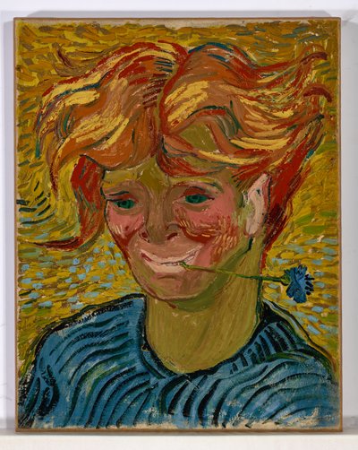 Giovane uomo con fiordaliso da Vincent van Gogh
