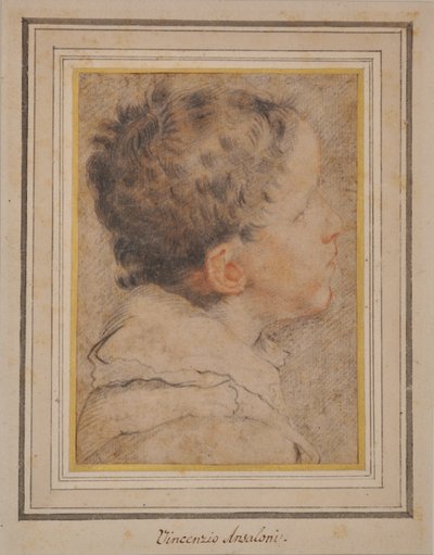 Testa di ragazzo da Vincenzo Ansaloni