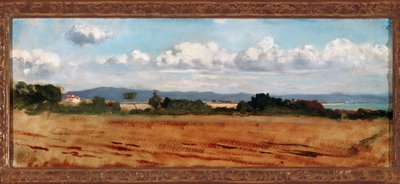 Paesaggio con nuvole a Castiglioncello da Vincenzo Cabianca