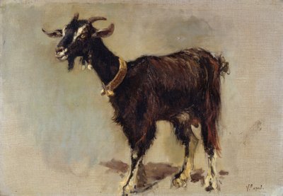 Capra da Vincenzo Caprile