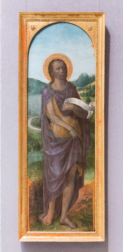 San Giovanni Battista da Vincenzo Foppa