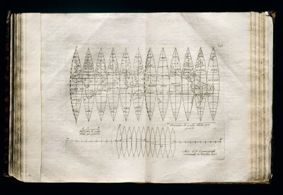 Gore del globo celeste da Vincenzo Maria Coronelli
