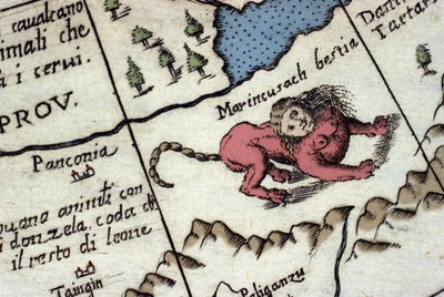 Rappresentazione di una manticora, una creatura fantastica con testa umana (spesso con corna, occhi blu e tre file di denti), coda di scorpione o drago e corpo di leone. (dettaglio) di una mappa del mondo di Vincenzo Coronelli (1650-1718). XVII secolo da Vincenzo Maria Coronelli