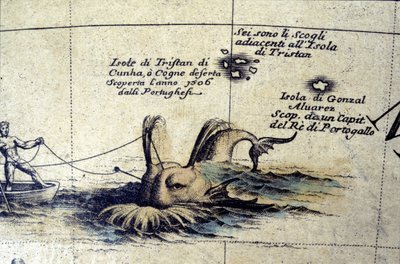 Caccia alla balena nell