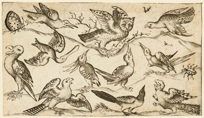 Undici uccelli e due insetti su terreno minimale con gufo con ali spiegate..., 1572 da Virgil Solis