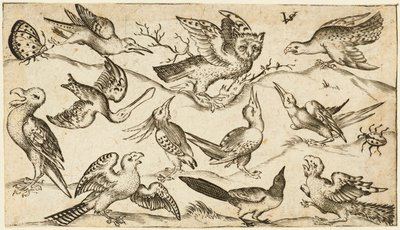 Undici uccelli e due insetti su terreno minimo con gufo con ali spiegate seduto su un ramo al centro con altri uccelli che circondano e prendono in giro il gufo, da Douce Ornament Prints Album I, dopo il 1572 da Virgilius the elder (after) Solis