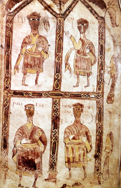 Illustrazione dal 