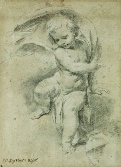 Un angelo da Vittorio Maria Bigari