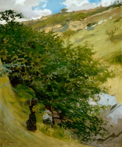 Catasta di legna nel paesaggio da Vittorio Matteo Corcos