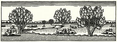Illustrazione per Tess dei d
