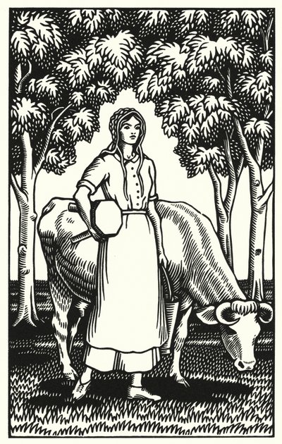 Illustrazione per Tess dei d
