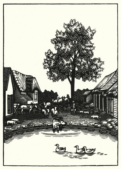 Illustrazione per Tess dei d