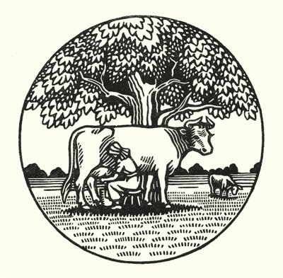 Illustrazione per Tess dei d
