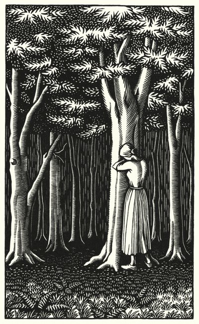 Illustrazione per Tess dei d