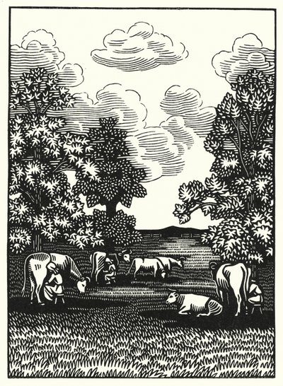 Illustrazione per Tess dei d
