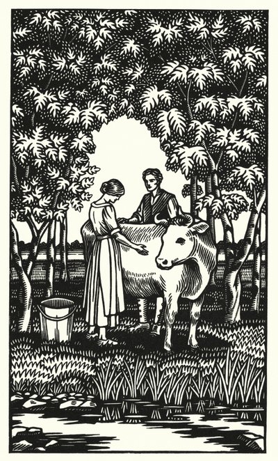 Illustrazione per Tess dei d