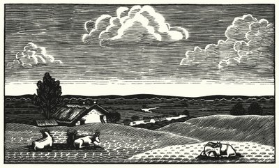 Illustrazione per Tess dei d