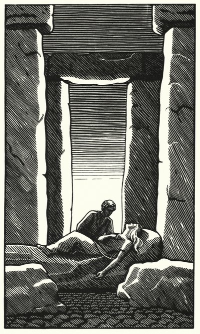 Illustrazione per Tess dei D