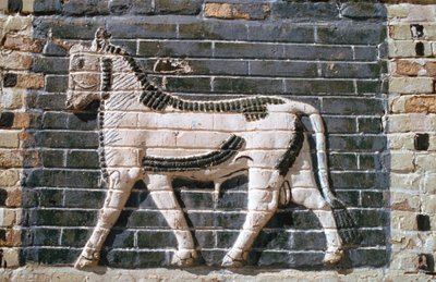 Toro, mattoni smaltati, Porta di Ishtar, Babilonia, Iraq da Vivienne Sharp