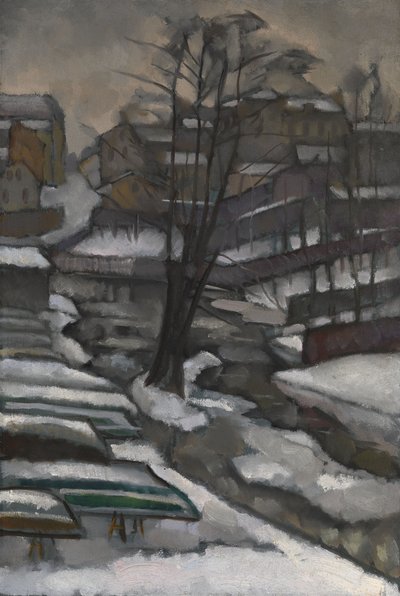 San Pietroburgo in inverno da Daniel Vladimir Baranoff Rossine