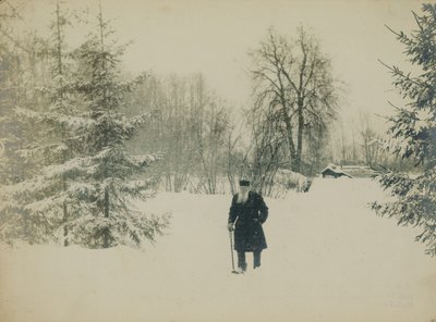 Il conte Lev Nikolayevich Tolstoy che cammina da Vladimir Grigorievich Chertkov