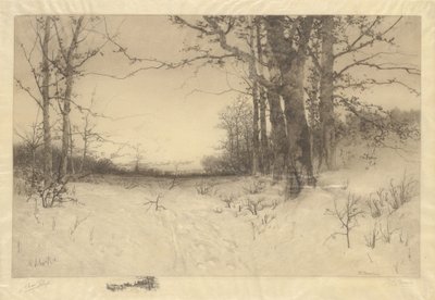 Inverno da W.C. Bauer