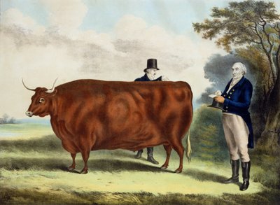 Ritratto di Mr T.W. Coke Esq. e Clerk Hilliard Esq. con un bue del North Devon da W.H. Davis