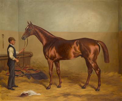 Sir Hugo a tre anni tenuto dal Groom in una stalla, c.1875-92 da W.H. Hopkins