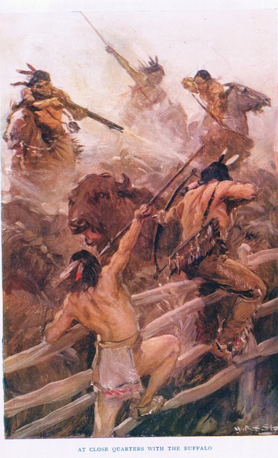 A distanza ravvicinata con il bufalo, illustrazione da 