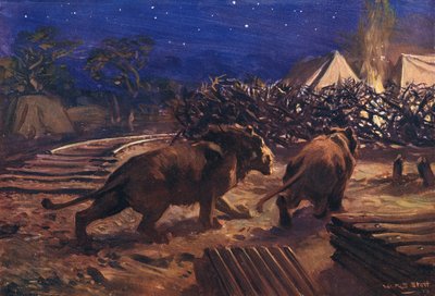 Il nemico del ferroviere da W.R.S. Stott