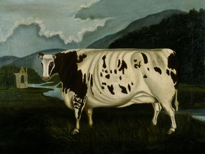 La famosa Craven Heifer da W. D. Fryer