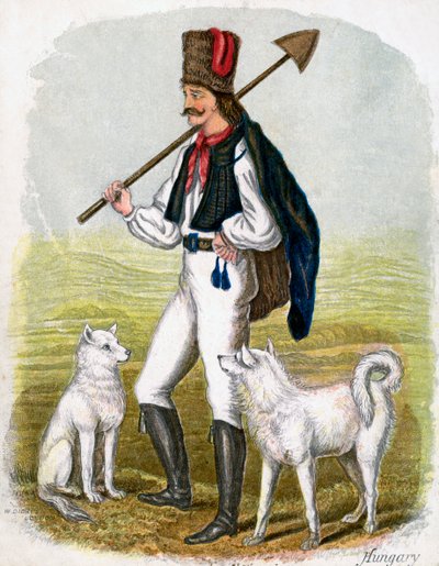 Uomo ungherese con cani da W. Dickes