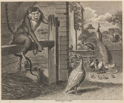 Il babbuino e il pollame da W. Grainger