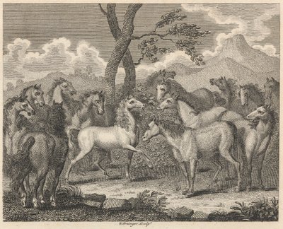 Il consiglio dei cavalli da W. Grainger