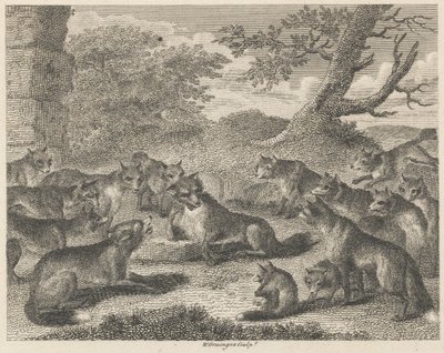 La volpe al punto di morte da W. Grainger