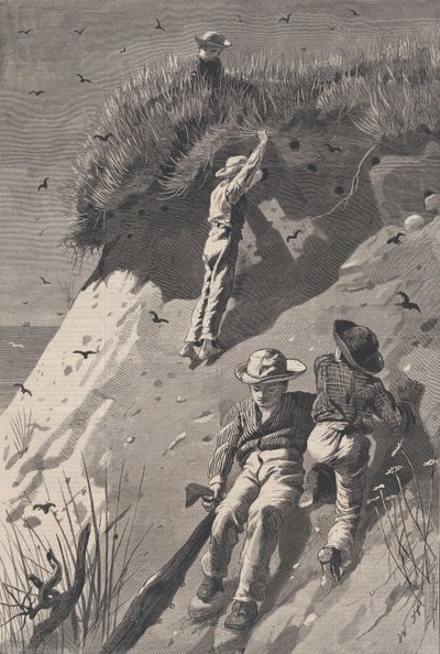 Incursione in una Colonia di Rondini di Sabbia - Quante Uova da W. H. Lagarde