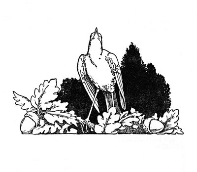 Tra i rami abitava un usignolo, c1930 da William Heath Robinson
