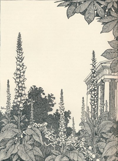 Illustrazione per Sogno di una notte di mezza estate, 1914, 1925 da William Heath Robinson