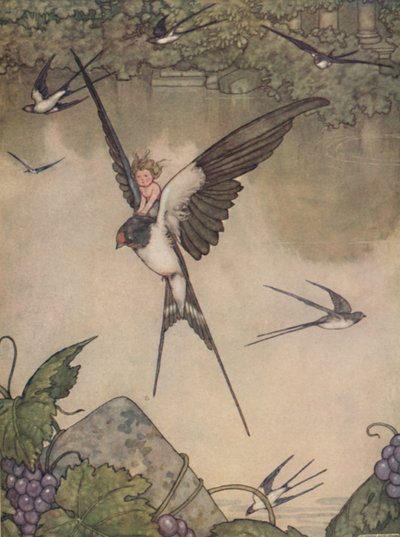 Sì, verrò con te! disse Tommelise, c1930 da William Heath Robinson