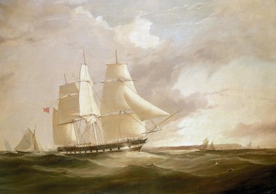 La nave 
