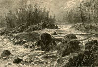 Le rapide del St. Louis da W. J. Linton