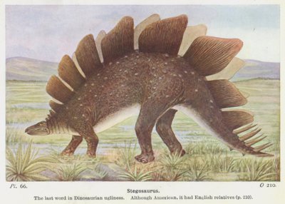 Stegosauro da W. J. Stokoe