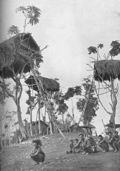 Dobos, case sugli alberi per donne non sposate in Melanesia, 1902 da W. Lindt