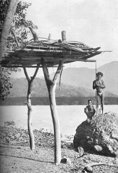 Piattaforma mortuaria in Nuova Guinea, 1902 da W. Lindt