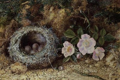 Nido di uccelli e rose canine da W. M. Arundale