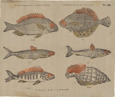 Un ghiozzo, una carpa, un persico, una sogliola o un pesce, è come buon cibo, ma chi ha mai mangiato un corno? da W. and J. Hissink