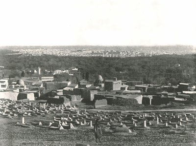 Panorama della città da Sulhieh, Damasco, Siria ottomana, 1895 da W and S Ltd