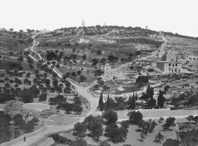 Monte degli Ulivi, Gerusalemme, Palestina da W and S Ltd