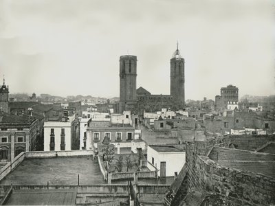 Parte della città vecchia con cattedrale, Barcellona, Spagna da W and S Ltd