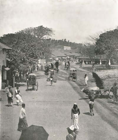 Scena di strada vicino al Municipio, Colombo, Ceylon, 1895 da W and S Ltd